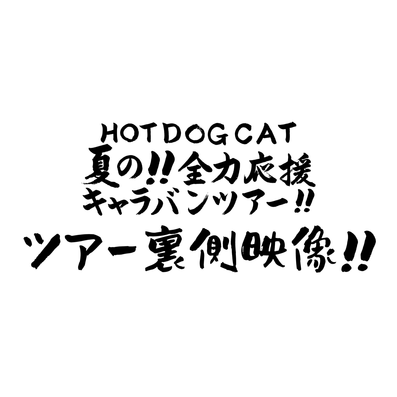 HOT DOG CAT ツアー裏側映像！！